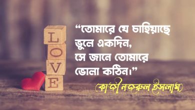 ভালোবাসার স্ট্যাটাস, ক্যাপশন, ছন্দ, উক্তি ও কবিতা (700+ Bangla Valovashar / Love Status, Captions, Quotes, Rhymes, Sayings & Poems 2025)