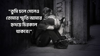 বিদায় নিয়ে উক্তি, স্ট্যাটাস, ক্যাপশন, ছন্দ, কবিতা ২০২৫ (Biday Niye Ukti, Status, Captions, Kobita 2025)