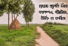 গ্রামের প্রকৃতি নিয়ে ক্যাপশন, স্ট্যাটাস, উক্তি, কবিতা ২০২৫ (Gramer Prokriti Niye Caption, Status, Quotes, Poems | Village Nature Caption 2025