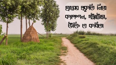 গ্রামের প্রকৃতি নিয়ে ক্যাপশন, স্ট্যাটাস, উক্তি, কবিতা ২০২৫ (Gramer Prokriti Niye Caption, Status, Quotes, Poems | Village Nature Caption 2025