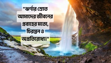 ঝর্ণা নিয়ে ক্যাপশন, স্ট্যাটাস, উক্তি, কবিতা ২০২৫ (Jhorna Niye Captions, Status, Quotes & Poems 2025)