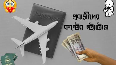 প্রবাসীদের কষ্টের স্ট্যাটাস ২০২৫ | 300+ Probashider Koster Status 2025
